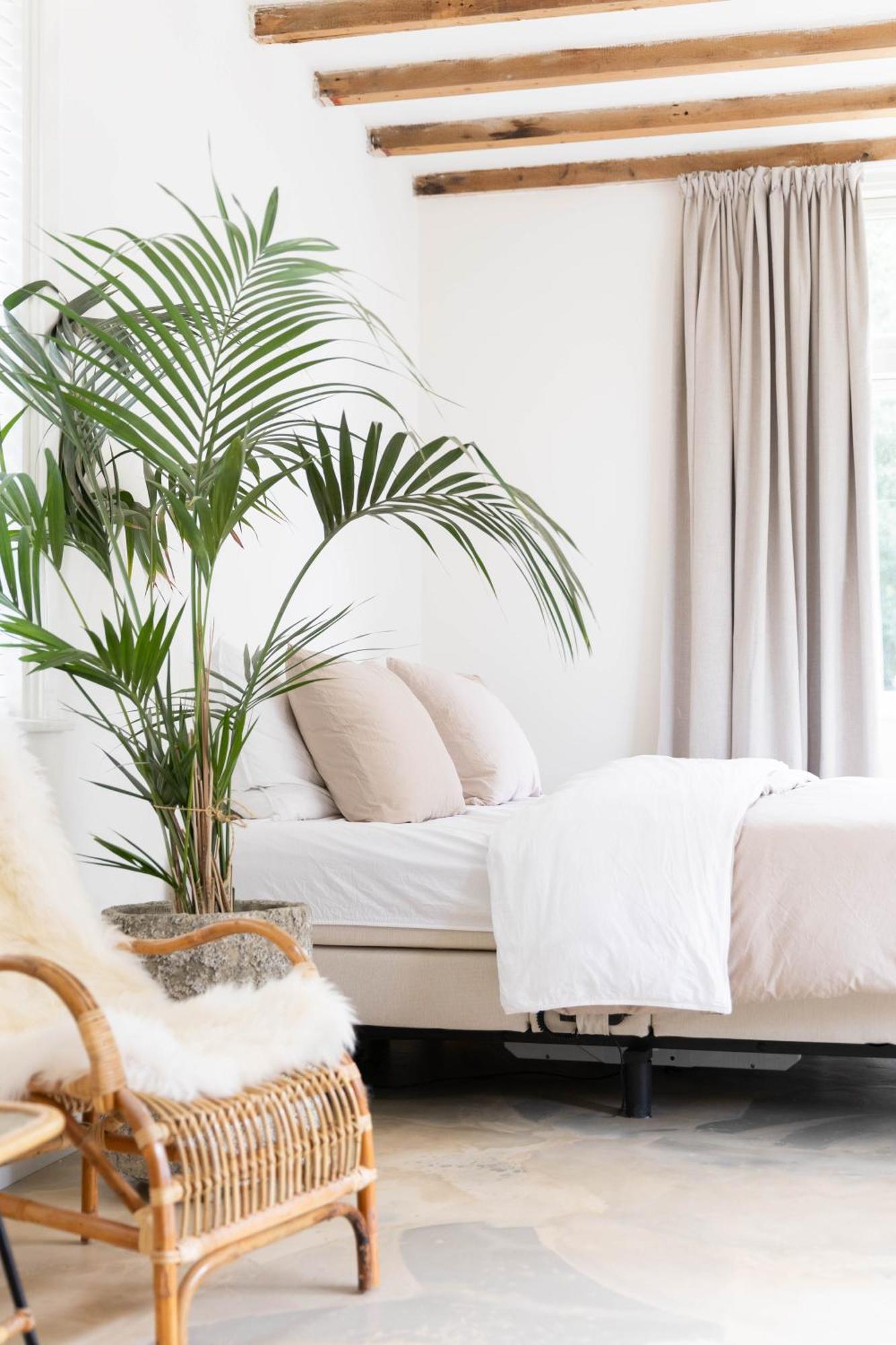 Ben Bij Bos Bed & Breakfast Oude-Niedorp Luaran gambar